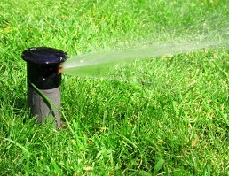 Sprinkler Head - Irrigation Service